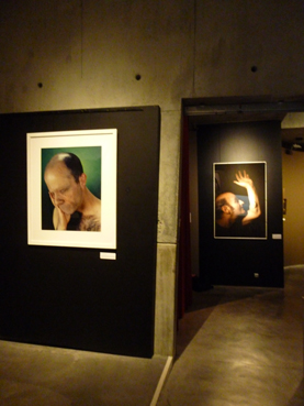Aziz+Cucher, Stelarc