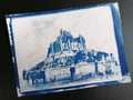 Atelier Cyanotype