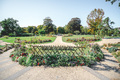 Jardin des Plantes 1