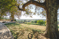 Jardin des Plantes 2