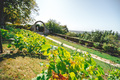 Jardin des Plantes 3