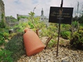 RDV aux jardins 2021